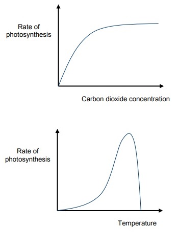 CO2Factor+Temp CO2Factor+Temp